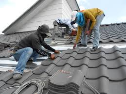 Best Roof Maintenance and Cleaning  in Breckenridge, MN